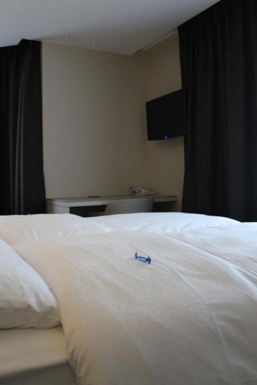 Hotel Astel De Haan Bilik gambar